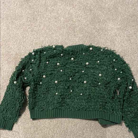 Green Pearl Embellished Sweater - Picture 4 of 5